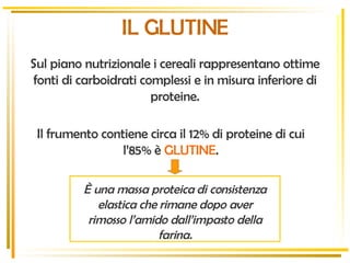 Sul piano nutrizionale i cereali rappresentano ottime fonti di carboidrati complessi e in misura inferiore di proteine. Il frumento contiene circa il 12% di proteine di cui l’85% è  GLUTINE . IL GLUTINE È una massa proteica di consistenza elastica che rimane dopo aver rimosso l’amido dall’impasto della farina. 