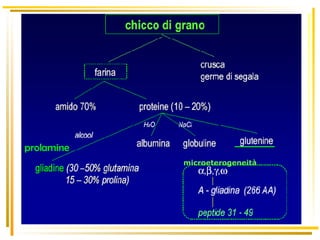 microeterogeneità prolamine 