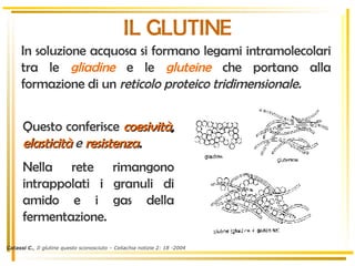 In soluzione acquosa si formano legami intramolecolari tra le  gliadine  e le  gluteine  che portano alla formazione di un  reticolo proteico tridimensionale. Catassi C. , Il glutine questo sconosciuto – Celiachia notizie 2: 18 -2004 Questo conferisce  coesività ,  elasticità   e  resistenza .  Nella rete rimangono intrappolati i granuli di amido e i gas della fermentazione.   IL GLUTINE 