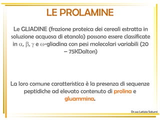 Le GLIADINE (frazione proteica dei cereali estratta in soluzione acquosa di etanolo) possono essere classificate in   ,   ,    e   -gliadina con pesi molecolari variabili (20 – 75KDalton) La loro comune caratteristica è la presenza di sequenze peptidiche ad elevato contenuto di   prolina   e  gluammina . Dr.ssa Letizia Saturni LE PROLAMINE 