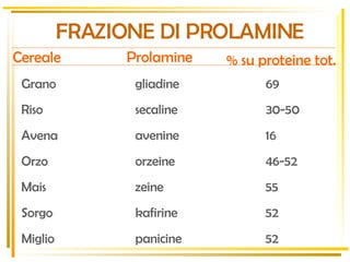 FRAZIONE DI PROLAMINE Cereale Prolamine % su proteine tot. Grano gliadine 69 Riso secaline 30-50 Avena avenine 16 Orzo orzeine 46-52 Mais zeine 55 Sorgo kafirine 52 Miglio panicine 52 