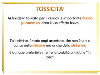 Ai fini della tossicità per il celiaco  è importante  l’acido glutammico,  dato il suo effetto lesivo . Tale effetto, è stato oggi accertato, che non è solo a carico delle  gliadine  ma anche della  glutenina è dunque preferibile riferire la tossicità al glutine “in toto”. TOSSICITA’ 