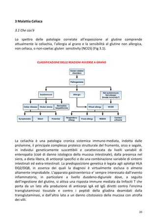   20	
  
3	
  Malattia	
  Celiaca	
  
	
   	
  
3.1	
  Che	
  cos’è	
  
	
  
Lo	
   spettro	
   delle	
   patologie	
   correlate	
   all’esposizione	
   al	
   glutine	
   comprende	
  
attualmente	
  la	
  celiachia,	
  l’allergia	
  al	
  grano	
  e	
  la	
  sensibilità	
  al	
  glutine	
  non	
  allergica,	
  
non	
  celiaca,	
  o	
  non-­‐coeliac	
  gluten	
  	
  sensitivity	
  (NCGS)	
  (Fig	
  3.1).	
  
	
  
	
  
	
  
	
  
	
  
	
  
	
  
	
  
	
  
	
  
	
  
	
  
	
  
	
  
	
  
	
  
	
  
	
  
	
  
	
  
La	
   celiachia	
   è	
   una	
   patologia	
   cronica	
   sistemica	
   immuno-­‐mediata,	
   indotta	
   dalle	
  
prolamine,	
  il	
  principale	
  complesso	
  proteico	
  strutturale	
  del	
  frumento,	
  orzo	
  e	
  segale,	
  
in	
   individui	
   geneticamente	
   suscettibili	
   e	
   caratterizzata	
   da	
   livelli	
   variabili	
   di	
  
enteropatia	
  (cioè	
  di	
  danno	
  istologico	
  della	
  mucosa	
  intestinale),	
  dalla	
  presenza	
  nel	
  
siero,	
  a	
  dieta	
  libera,	
  di	
  anticorpi	
  specifici	
  e	
  da	
  una	
  combinazione	
  variabile	
  di	
  sintomi	
  
intestinali	
  ed	
  extra-­‐intestinali.	
  La	
  predisposizione	
  genetica	
  è	
  legata	
  agli	
  aplotipi	
  HLA	
  
DQ2/DQ8,	
   in	
   assenza	
   dei	
   quali	
   la	
   diagnosi	
   è	
   virtualmente	
   esclusa	
   o	
   almeno	
  
altamente	
  improbabile.	
  L’apparato	
  gastroenterico	
  e’	
  sempre	
  interessato	
  dall’evento	
  
infiammatorio,	
   in	
   particolare	
   a	
   livello	
   duodeno-­‐digiunale	
   dove,	
   a	
   seguito	
  
dell’ingestione	
  del	
  glutine,	
  si	
  attiva	
  una	
  risposta	
  immune	
  mediata	
  da	
  linfociti	
  T	
  che	
  
porta	
   da	
   un	
   lato	
   alla	
   produzione	
   di	
   anticorpi	
   IgA	
   ed	
   IgG	
   diretti	
   contro	
   l’enzima	
  
transglutaminasi	
   tissutale	
   e	
   contro	
   i	
   peptidi	
   della	
   gliadina	
   deamidati	
   dalla	
  
transglutaminasi,	
  e	
  dall’altro	
  lato	
  a	
  un	
  danno	
  citotossico	
  della	
  mucosa	
  con	
  atrofia	
  
dei	
  villi.	
  	
  
 