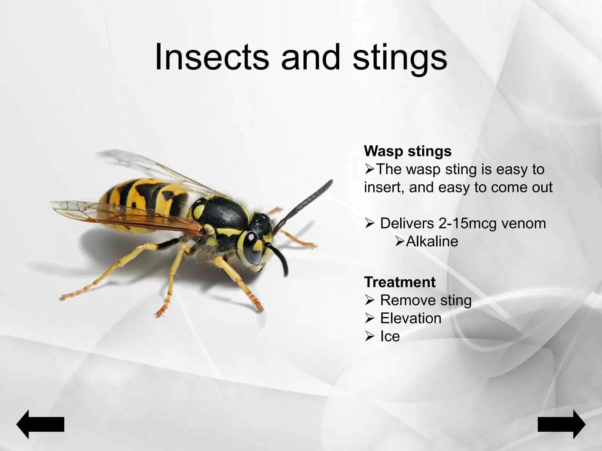 Insects and stings
Wasp stings
The wasp sting is easy to
insert, and easy to come out
 Delivers 2-15mcg venom
Alkaline
Treatment
 Remove sting
 Elevation
 Ice
 