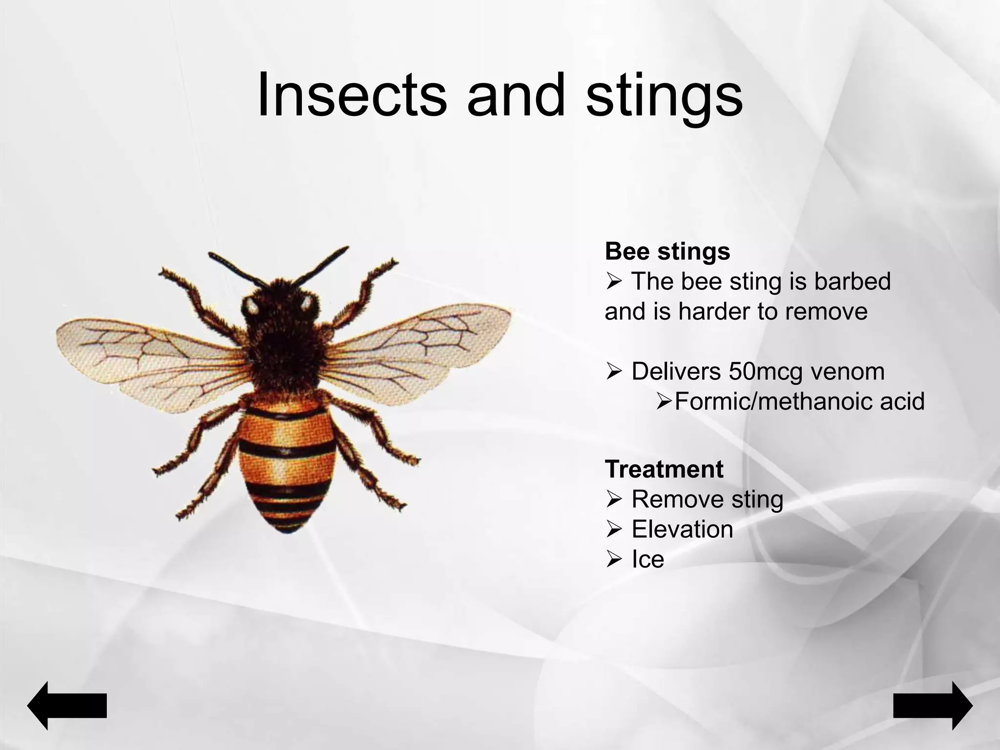 Insects and stings
Bee stings
 The bee sting is barbed
and is harder to remove
 Delivers 50mcg venom
Formic/methanoic acid
Treatment
 Remove sting
 Elevation
 Ice
 