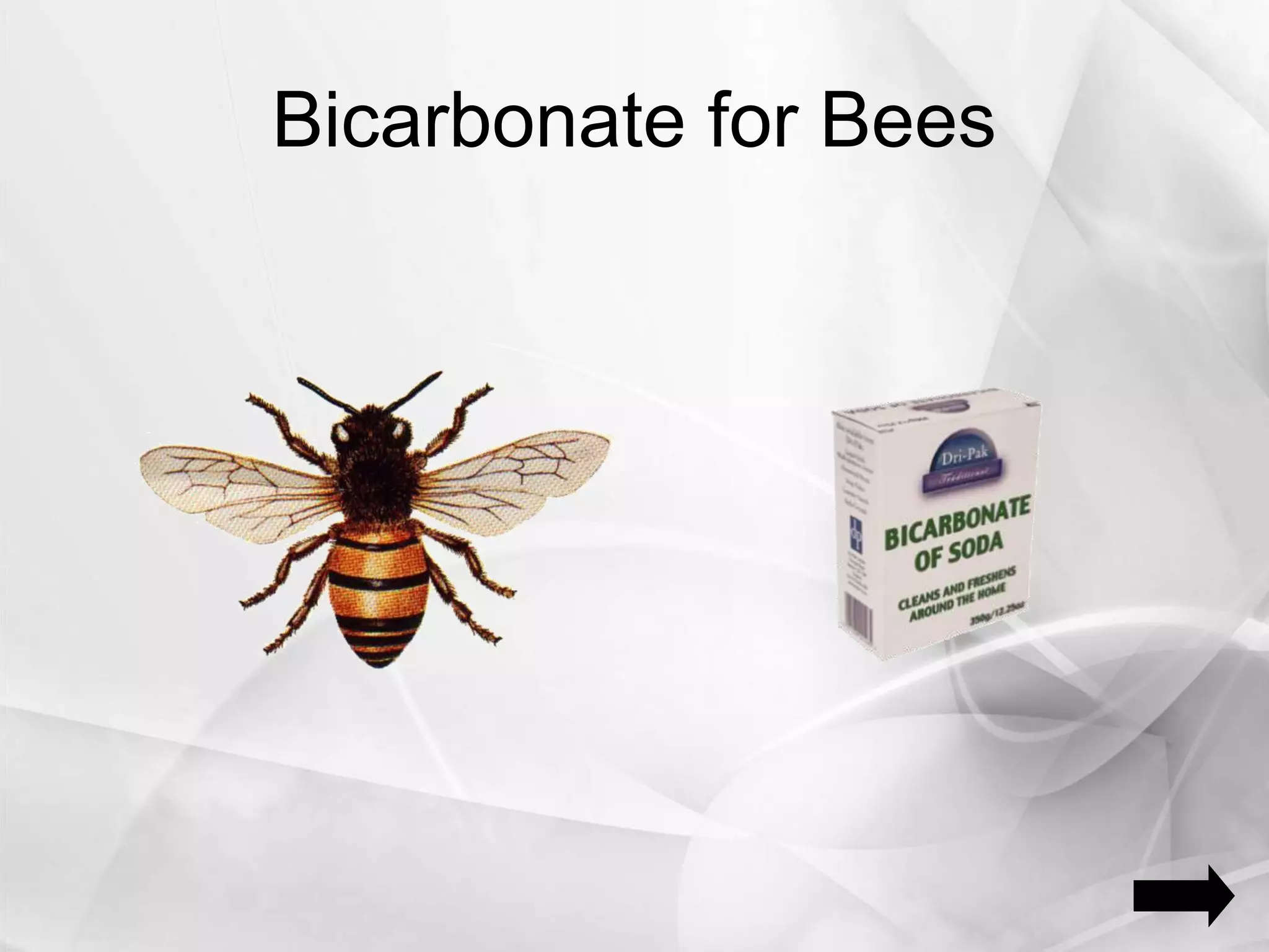 Bicarbonate for Bees
 