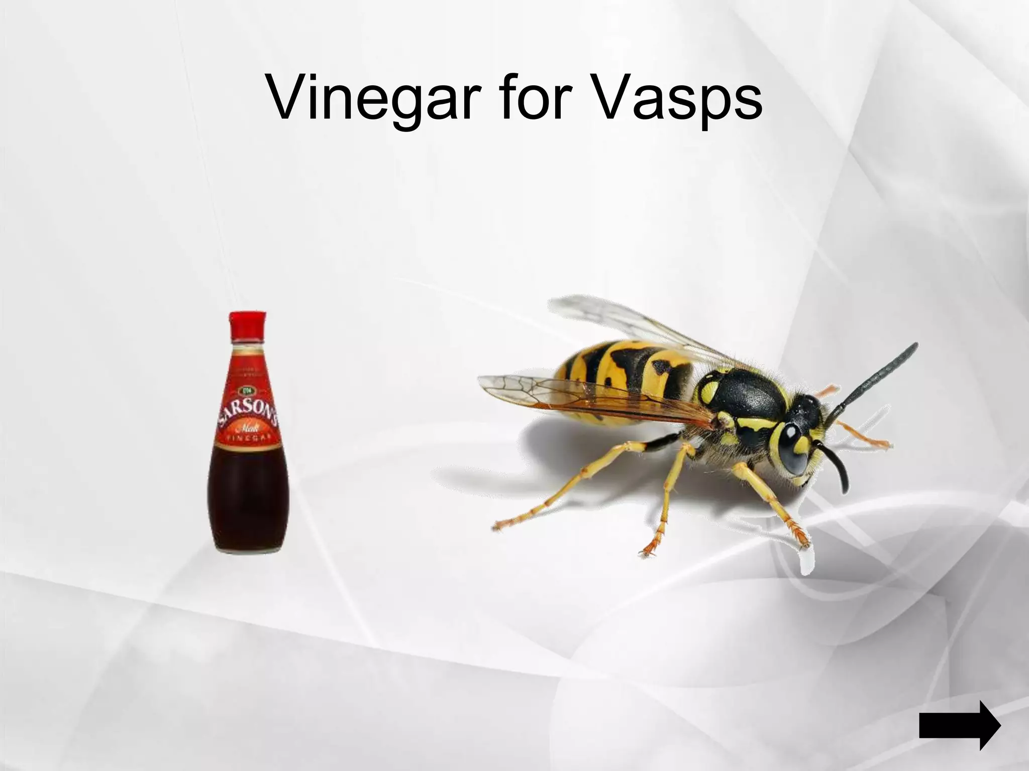 Vinegar for Vasps
 