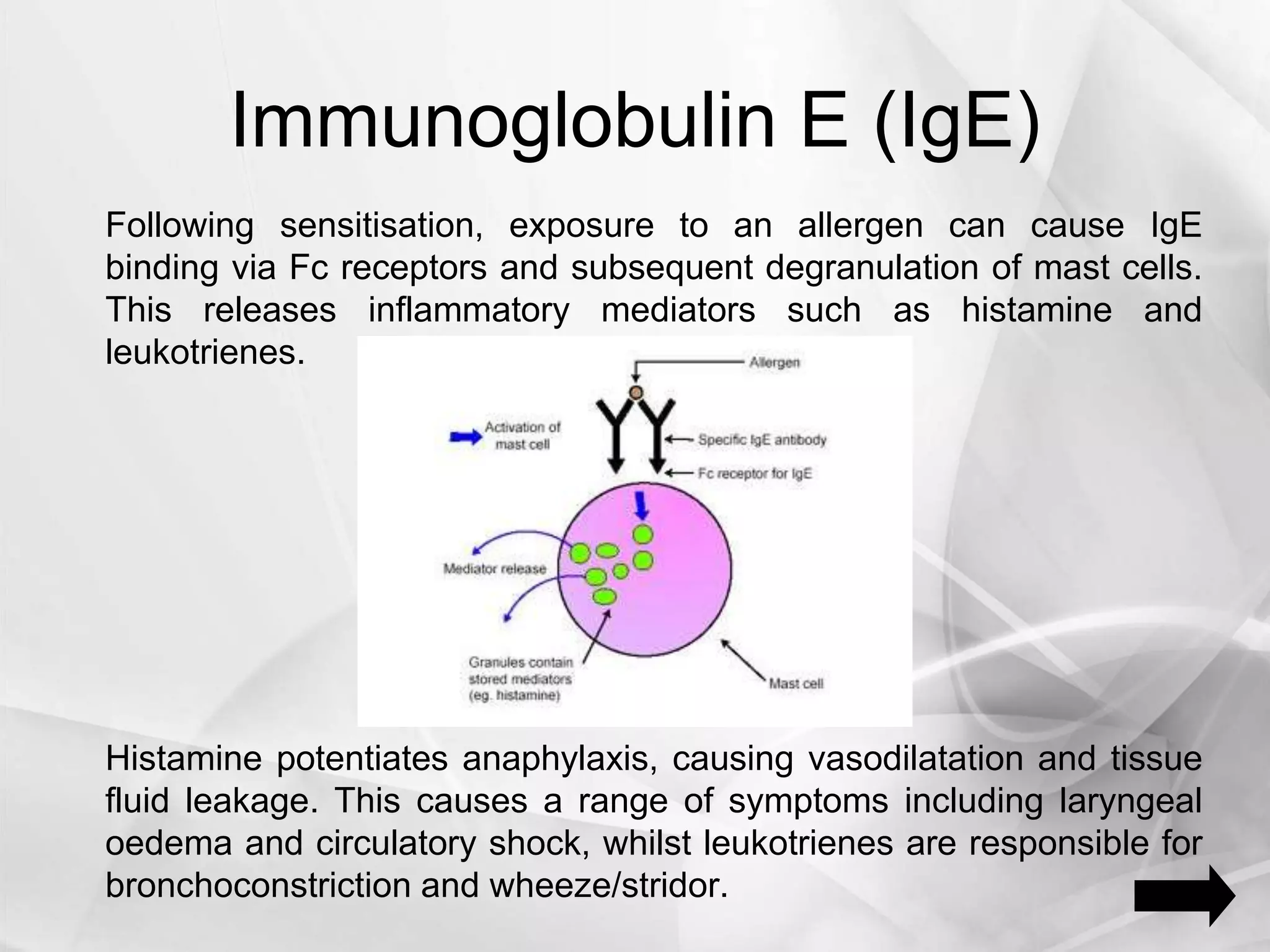 Immunoglobulin E (IgE)
Following sensitisation, exposure to an allergen can cause IgE
binding via Fc receptors and subsequent degranulation of mast cells.
This releases inflammatory mediators such as histamine and
leukotrienes.
Histamine potentiates anaphylaxis, causing vasodilatation and tissue
fluid leakage. This causes a range of symptoms including laryngeal
oedema and circulatory shock, whilst leukotrienes are responsible for
bronchoconstriction and wheeze/stridor.
 