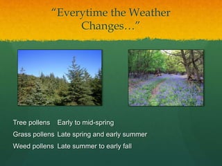 “Everytime the Weather
Changes…”
Tree pollens Early to mid-spring
Grass pollens Late spring and early summer
Weed pollens Late summer to early fall
 