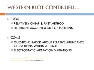 WESTERN BLOT CONTINUED… PROS RELATIVELY CHEAP & FAST METHOD DETERMINE AMOUNT & SIZE OF PROTEINS CONS QUESTIONS RAISED ABOUT RELATIVE ABUNDANCE OF PROTEINS WITHIN A TISSUE ELECTROSTATIC MIGRATION VARIATIONS http://teachline.ls.huji.ac.il/72320/methods-tutorial/western/western-pros.html www.abcam.com/technical   (other troubleshooting suggestions) 