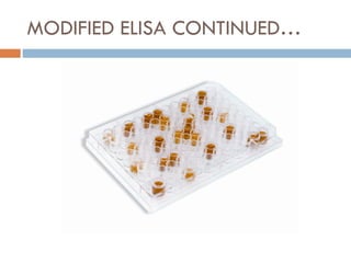 MODIFIED ELISA CONTINUED… 