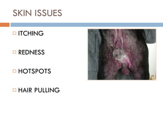 SKIN ISSUES ITCHING REDNESS HOTSPOTS HAIR PULLING 