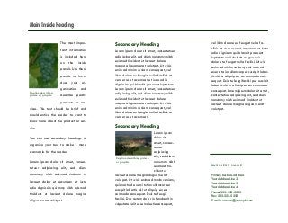 The most impor-
tant information
is included here
on the inside
panels. Use these
panels to intro-
duce your or-
ganization and
describe specific
products or ser-
vices. This text should be brief and
should entice the reader to want to
know more about the product or ser-
vice.
You can use secondary headings to
organize your text to make it more
scannable for the reader.
Lorem ipsum dolor sit amet, consec-
tetuer adipiscing elit, sed diem
nonummy nibh euismod tincidunt ut
lacreet dolor et accumsan et iusto
odio dignissim qui mmy nibh euismod
tincidunt ut lacreet dolore magna
aliguam erat volutpat.
Main Inside Heading
Secondary Heading
Lorem ipsum dolor sit amet, consectetuer
adipiscing elit, sed diem nonummy nibh
euismod tincidunt ut lacreet dolore
magna aliguam erat volutpat. Ut wisis
enim ad minim veniam, consequat, vel
illum dolore eu feugiat nulla facilisis at
vero eros et accumsan et iusto odio
dignissim qui blandit praesent luptatum.
Lorem ipsum dolor sit amet, consectetuer
adipiscing elit, sed diem nonummy nibh
euismod tincidunt ut lacreet dolore
magna aliguam erat volutpat. Ut wisis
enim ad minim veniam, consequat, vel
illum dolore eu feugiat nulla facilisis at
vero eros et accumsan.
Secondary Heading
Lorem ipsum
dolor sit
amet, consec-
tetuer
adipiscing
elit, sed diem
nonummy nibh
euismod tin-
cidunt ut
lacreet dolore magna aliguam erat
volutpat. Ut wisis enim ad minim veniam,
quis nostrud exerci tution ullamcorper
suscipit lobortis nisl ut aliquip ex ea
commodo consequat. Duis te feugi-
facilisi. Duis autem dolor in hendrerit in
vulputate velit esse molestie consequat,
vel illum dolore eu feugiat nulla fa-
cilisis at vero eros et accumsan et iusto
odio dignissim qui blandit praesent
luptatum zzril delenit au gue duis
dolore te feugat nulla facilisi. Ut wisi
enim ad minim veniam, quis nostrud
exerci taion ullamcorper suscipit lobor-
tis nisl ut aliquip ex en commodo con-
sequat. Duis te feugifacilisi per suscipit
lobortis nisl ut aliquip ex en commodo
consequat. Lorem ipsum dolor sit amet,
consectetuer adipiscing elit, sed diem
nonummy nibh euismod tincidunt ut
lacreet dolore magna aliguam erat
volutpat.
Caption describing picture
or graphic.
Caption describing
picture or graphic.
Phone: 555-555-5555
Fax: 555-555-5555
E-mail: someone@example.com
Primary Business Address
Your Address Line 2
Your Address Line 3
Your Address Line 4
BUSINE SS NAM E
 