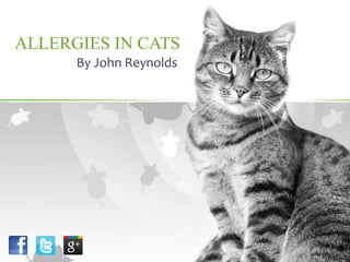 ALLERGIES IN CATS
By John Reynolds
 