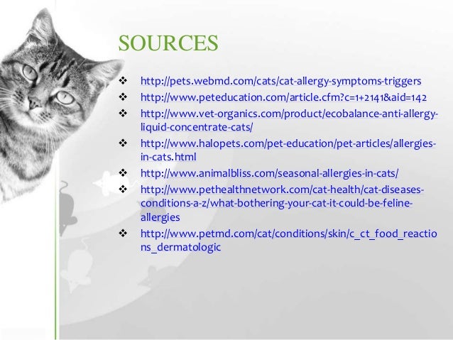 What Food To Give A Cat With Food Allergies What Food To Give A Cat With Food Allergies