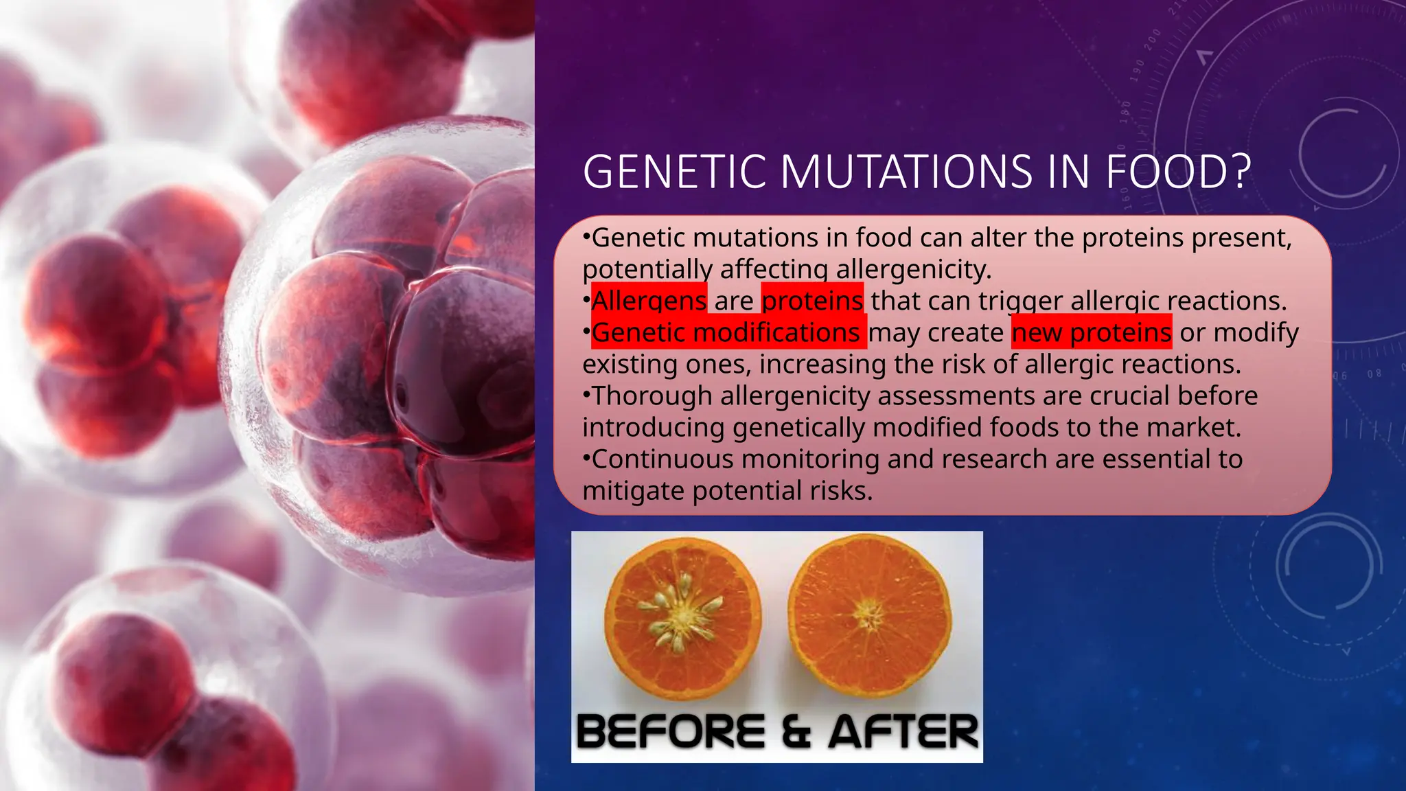 GENETIC MUTATIONS IN FOOD?
•Genetic mutations in food can alter the proteins present,
potentially affecting allergenicity.
•Allergens are proteins that can trigger allergic reactions.
•Genetic modifications may create new proteins or modify
existing ones, increasing the risk of allergic reactions.
•Thorough allergenicity assessments are crucial before
introducing genetically modified foods to the market.
•Continuous monitoring and research are essential to
mitigate potential risks.
 