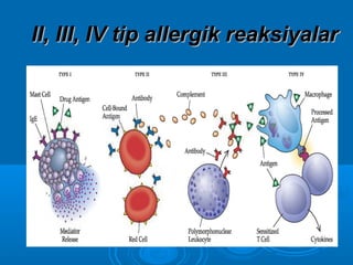 II, III, IV tip allergik reaksiyalarII, III, IV tip allergik reaksiyalar
 