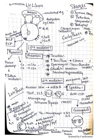 Scanned by CamScanner
 