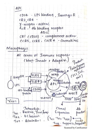 Scanned by CamScanner
 