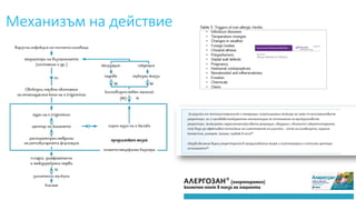 Механизъм на действие
 