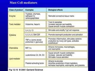 Mast Cell mediators 