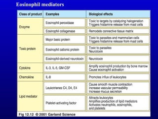 Eosinophil mediators 