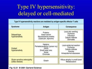 Type IV hypersensitivity: delayed or cell-mediated 