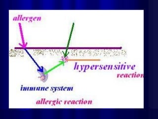 Allergy Pdf