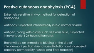 Passive cutaneous anaphylaxis (PCA):
Extremely sensitive in vivo method for detection of
antibodies
Antibody is injected intradermally into a normal animal
Antigen, along with a dye such as Evans blue, is injected
intravenously 4-24 hours afterwards
There will be an immediate blueing at the site of`
intradermal injection due to vasodilatation and increased
capillary permeability (wheal-and-flare reaction)
 