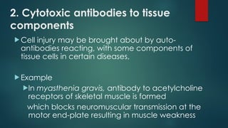2. Cytotoxic antibodies to tissue
components
 Cell injury may be brought about by auto-
antibodies reacting, with some components of
tissue cells in certain diseases,
 Example
In myasthenia gravis, antibody to acetylcholine
receptors of skeletal muscle is formed
which blocks neuromuscular transmission at the
motor end-plate resulting in muscle weakness
 
