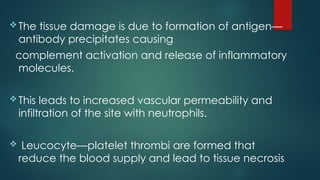 The tissue damage is due to formation of antigen—
antibody precipitates causing
complement activation and release of inflammatory
molecules.
This leads to increased vascular permeability and
infiltration of the site with neutrophils.
 Leucocyte—platelet thrombi are formed that
reduce the blood supply and lead to tissue necrosis
 