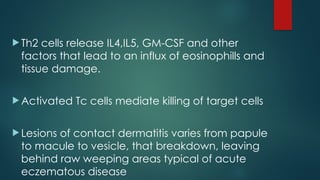  Th2 cells release IL4,IL5, GM-CSF and other
factors that lead to an influx of eosinophills and
tissue damage.
 Activated Tc cells mediate killing of target cells
 Lesions of contact dermatitis varies from papule
to macule to vesicle, that breakdown, leaving
behind raw weeping areas typical of acute
eczematous disease
 