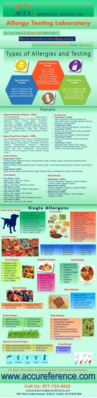Medical Test for Allergies in New Jersey