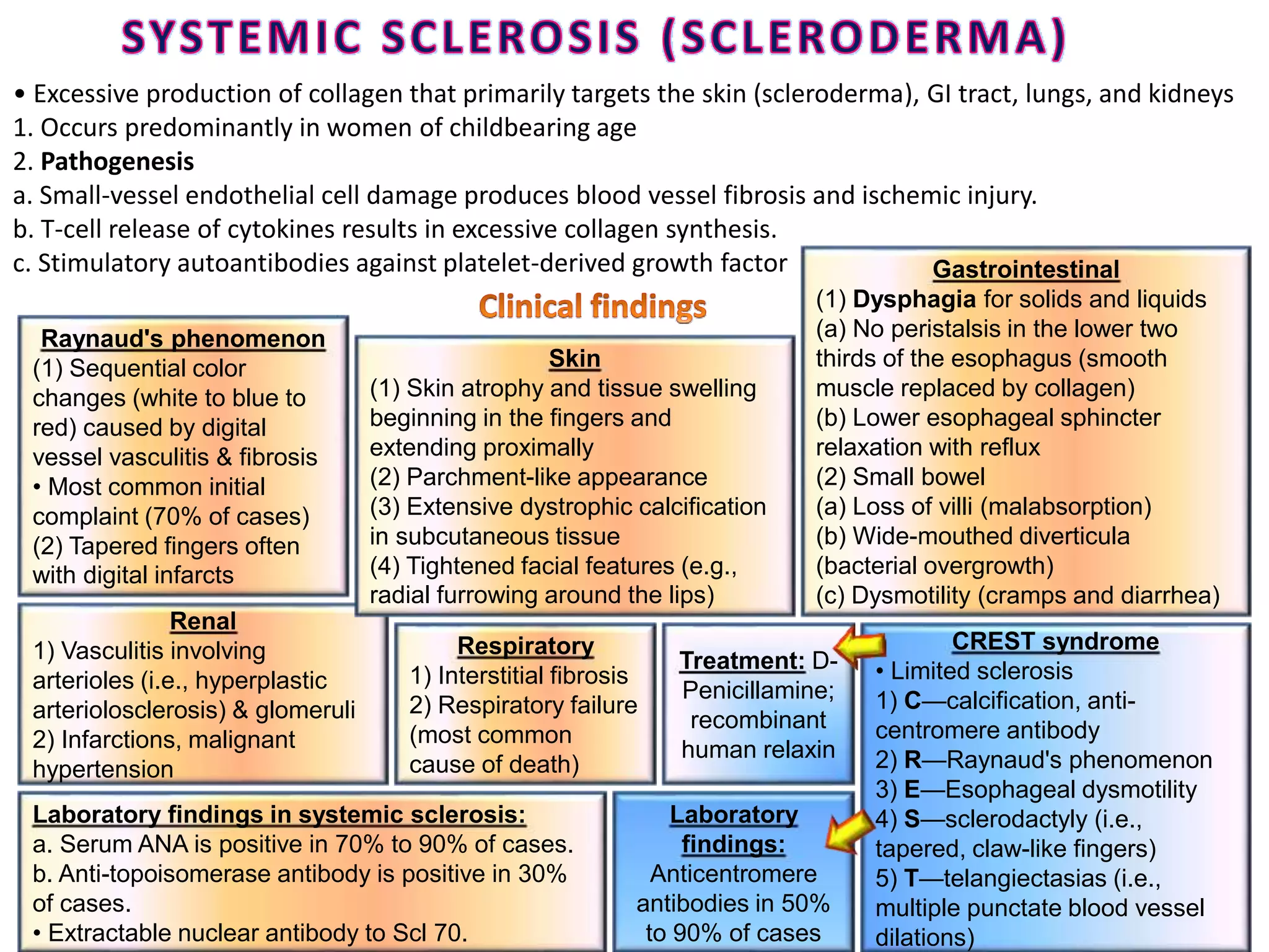 • Excessive production of collagen that primarily targets the skin (scleroderma), GI tract, lungs, and kidneys
1. Occurs predominantly in women of childbearing age
2. Pathogenesis
a. Small-vessel endothelial cell damage produces blood vessel fibrosis and ischemic injury.
b. T-cell release of cytokines results in excessive collagen synthesis.
c. Stimulatory autoantibodies against platelet-derived growth factor
Laboratory findings in systemic sclerosis:
a. Serum ANA is positive in 70% to 90% of cases.
b. Anti-topoisomerase antibody is positive in 30%
of cases.
• Extractable nuclear antibody to Scl 70.
Respiratory
1) Interstitial fibrosis
2) Respiratory failure
(most common
cause of death)
CREST syndrome
• Limited sclerosis
1) C—calcification, anti-
centromere antibody
2) R—Raynaud's phenomenon
3) E—Esophageal dysmotility
4) S—sclerodactyly (i.e.,
tapered, claw-like fingers)
5) T—telangiectasias (i.e.,
multiple punctate blood vessel
dilations)
Renal
1) Vasculitis involving
arterioles (i.e., hyperplastic
arteriolosclerosis) & glomeruli
2) Infarctions, malignant
hypertension
Gastrointestinal
(1) Dysphagia for solids and liquids
(a) No peristalsis in the lower two
thirds of the esophagus (smooth
muscle replaced by collagen)
(b) Lower esophageal sphincter
relaxation with reflux
(2) Small bowel
(a) Loss of villi (malabsorption)
(b) Wide-mouthed diverticula
(bacterial overgrowth)
(c) Dysmotility (cramps and diarrhea)
Skin
(1) Skin atrophy and tissue swelling
beginning in the fingers and
extending proximally
(2) Parchment-like appearance
(3) Extensive dystrophic calcification
in subcutaneous tissue
(4) Tightened facial features (e.g.,
radial furrowing around the lips)
Raynaud's phenomenon
(1) Sequential color
changes (white to blue to
red) caused by digital
vessel vasculitis & fibrosis
• Most common initial
complaint (70% of cases)
(2) Tapered fingers often
with digital infarcts
Treatment: D-
Penicillamine;
recombinant
human relaxin
Laboratory
findings:
Anticentromere
antibodies in 50%
to 90% of cases
 