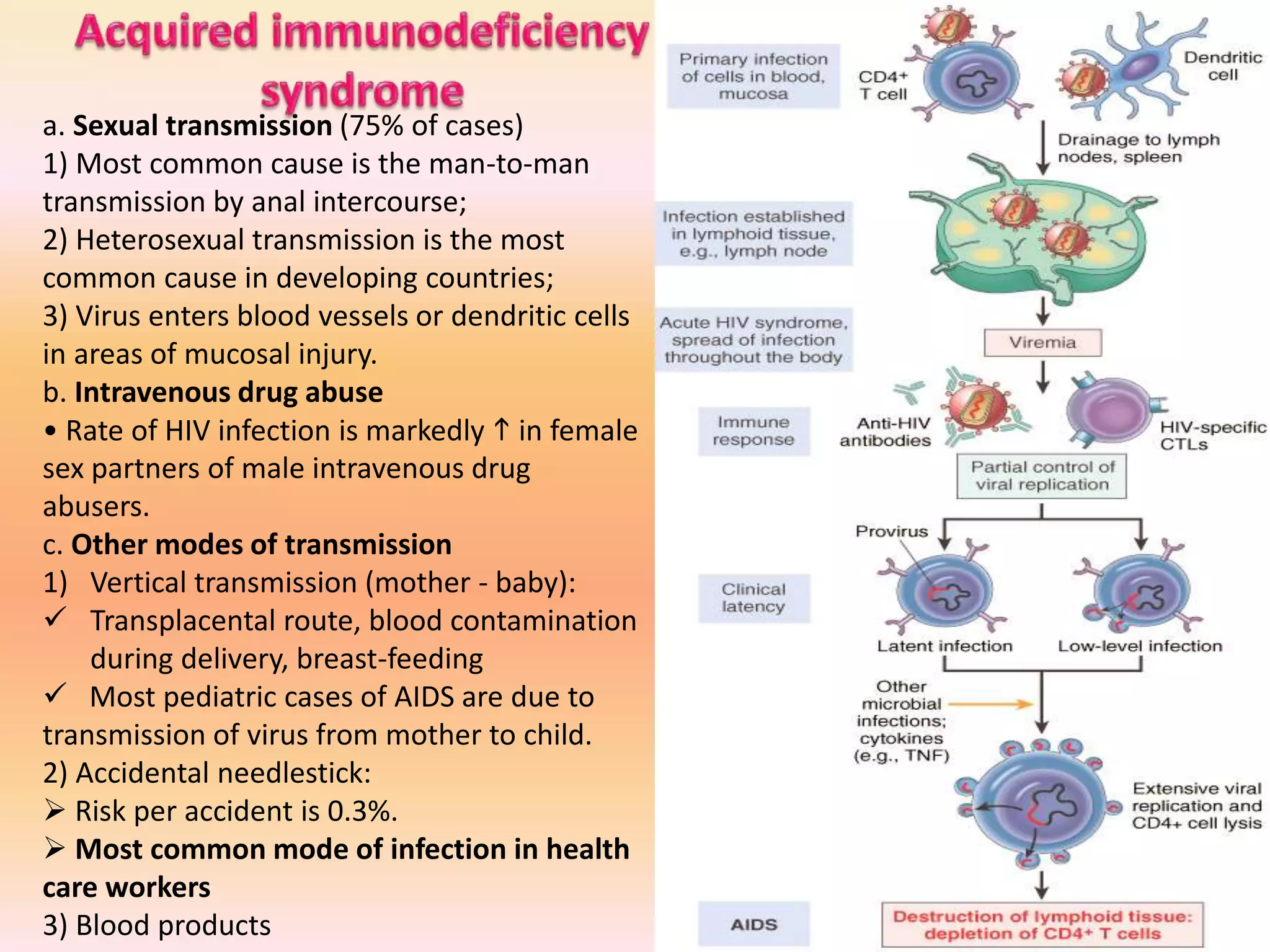 a. Sexual transmission (75% of cases)
1) Most common cause is the man-to-man
transmission by anal intercourse;
2) Heterosexual transmission is the most
common cause in developing countries;
3) Virus enters blood vessels or dendritic cells
in areas of mucosal injury.
b. Intravenous drug abuse
• Rate of HIV infection is markedly  in female
sex partners of male intravenous drug
abusers.
c. Other modes of transmission
1) Vertical transmission (mother - baby):
 Transplacental route, blood contamination
during delivery, breast-feeding
 Most pediatric cases of AIDS are due to
transmission of virus from mother to child.
2) Accidental needlestick:
 Risk per accident is 0.3%.
 Most common mode of infection in health
care workers
3) Blood products
 