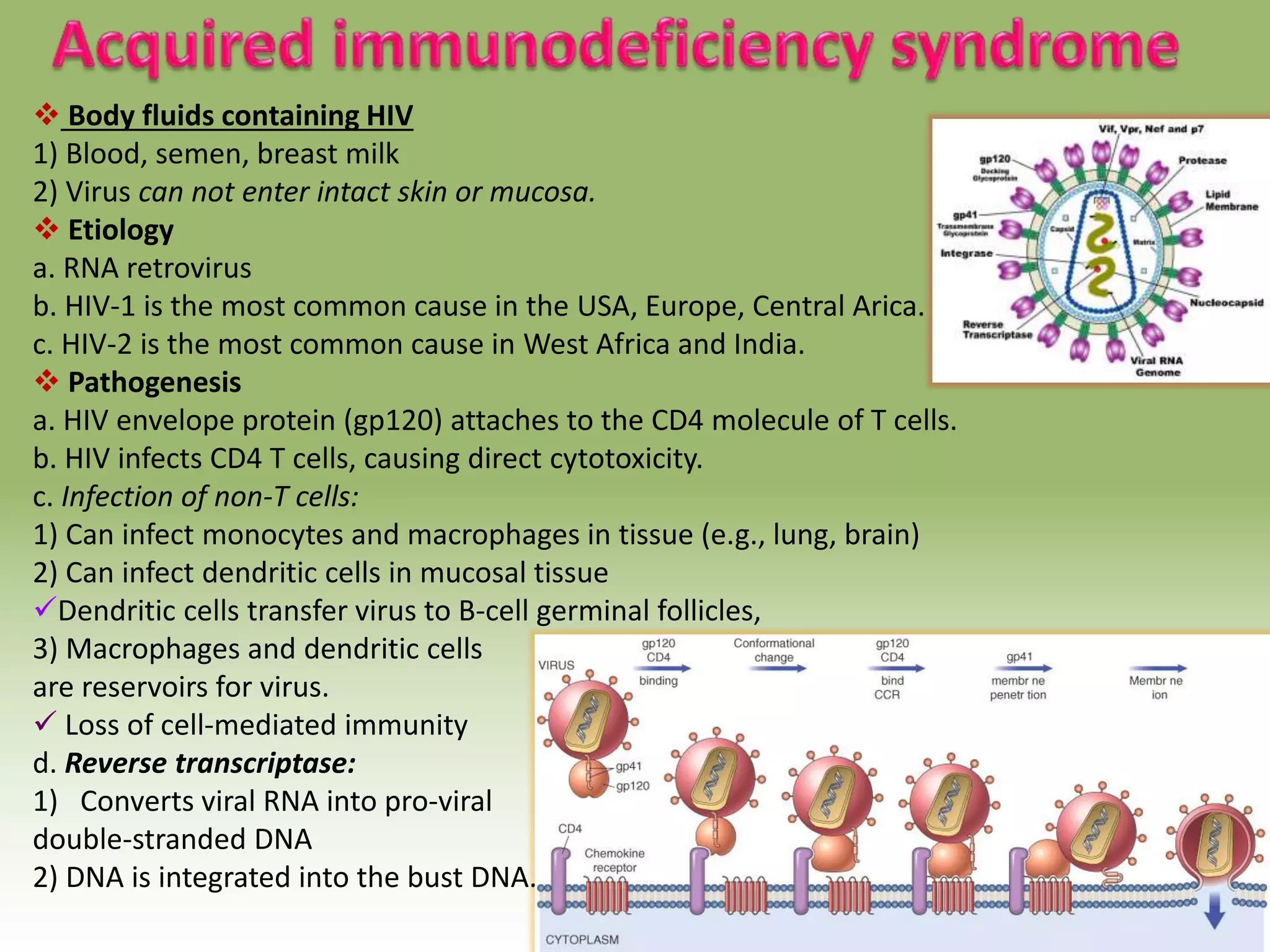  Body fluids containing HIV
1) Blood, semen, breast milk
2) Virus can not enter intact skin or mucosa.
 Etiology
a. RNA retrovirus
b. HIV-1 is the most common cause in the USA, Europe, Central Arica.
c. HIV-2 is the most common cause in West Africa and India.
 Pathogenesis
a. HIV envelope protein (gp120) attaches to the CD4 molecule of T cells.
b. HIV infects CD4 T cells, causing direct cytotoxicity.
c. Infection of non-T cells:
1) Can infect monocytes and macrophages in tissue (e.g., lung, brain)
2) Can infect dendritic cells in mucosal tissue
Dendritic cells transfer virus to B-cell germinal follicles,
3) Macrophages and dendritic cells
are reservoirs for virus.
 Loss of cell-mediated immunity
d. Reverse transcriptase:
1) Converts viral RNA into pro-viral
double-stranded DNA
2) DNA is integrated into the bust DNA.
 