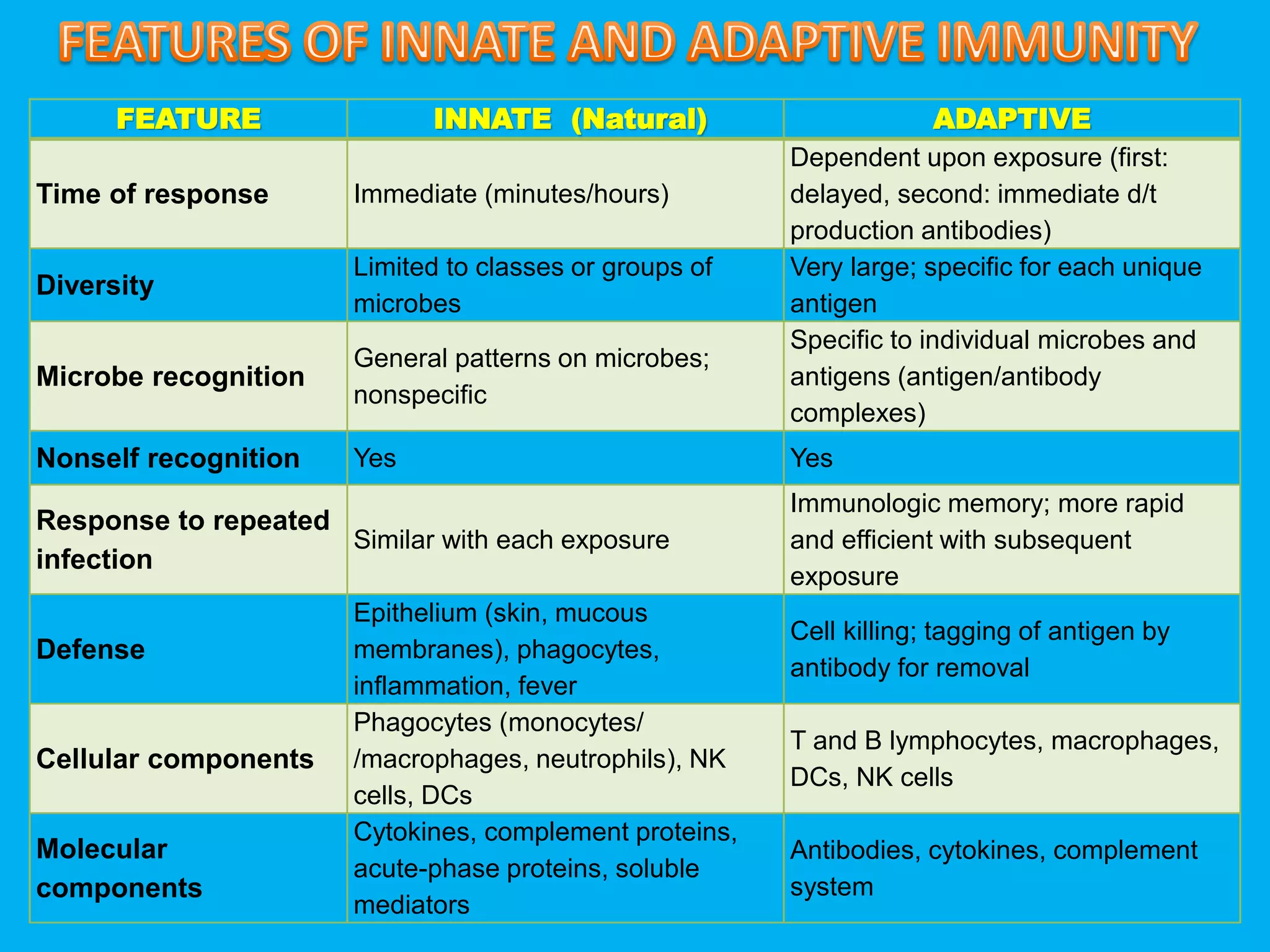FEATURE INNATE (Natural) ADAPTIVE
Time of response Immediate (minutes/hours)
Dependent upon exposure (first:
delayed, second: immediate d/t
production antibodies)
Diversity
Limited to classes or groups of
microbes
Very large; specific for each unique
antigen
Microbe recognition
General patterns on microbes;
nonspecific
Specific to individual microbes and
antigens (antigen/antibody
complexes)
Nonself recognition Yes Yes
Response to repeated
infection
Similar with each exposure
Immunologic memory; more rapid
and efficient with subsequent
exposure
Defense
Epithelium (skin, mucous
membranes), phagocytes,
inflammation, fever
Cell killing; tagging of antigen by
antibody for removal
Cellular components
Phagocytes (monocytes/
/macrophages, neutrophils), NK
cells, DCs
T and B lymphocytes, macrophages,
DCs, NK cells
Molecular
components
Cytokines, complement proteins,
acute-phase proteins, soluble
mediators
Antibodies, cytokines, complement
system
 