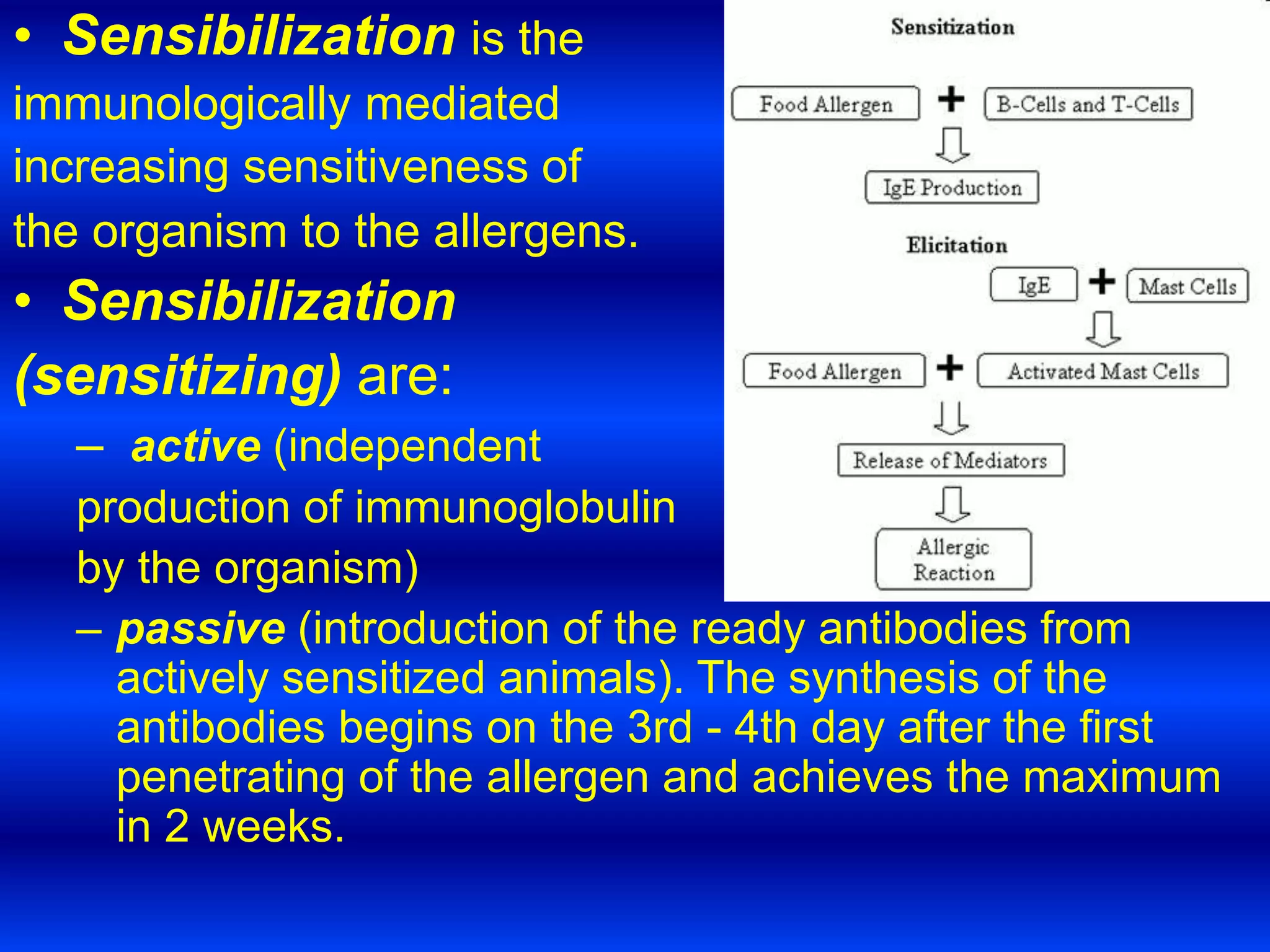 • Sensibilization is the
immunologically mediated
increasing sensitiveness of
the organism to the allergens.
• Sensibilization
(sensitizing) are:
– active (independent
production of immunoglobulin
by the organism)
– passive (introduction of the ready antibodies from
actively sensitized animals). The synthesis of the
antibodies begins on the 3rd - 4th day after the first
penetrating of the allergen and achieves the maximum
in 2 weeks.
 