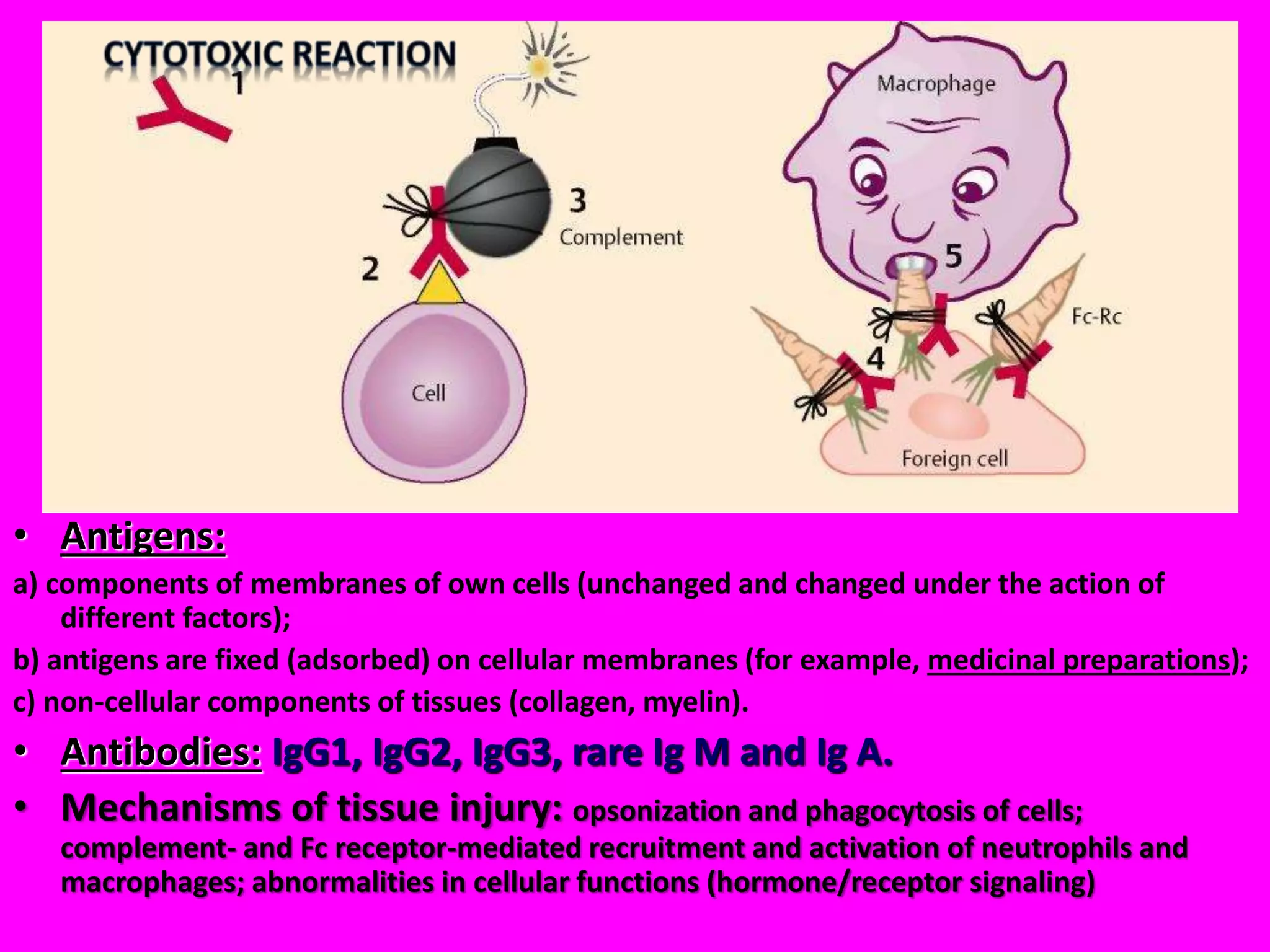 • Antigens:
a) components of membranes of own cells (unchanged and changed under the action of
different factors);
b) antigens are fixed (adsorbed) on cellular membranes (for example, medicinal preparations);
c) non-cellular components of tissues (collagen, myelin).
• Antibodies: IgG1, IgG2, IgG3, rare Ig M and Ig A.
• Mechanisms of tissue injury: opsonization and phagocytosis of cells;
complement- and Fc receptor-mediated recruitment and activation of neutrophils and
macrophages; abnormalities in cellular functions (hormone/receptor signaling)
 