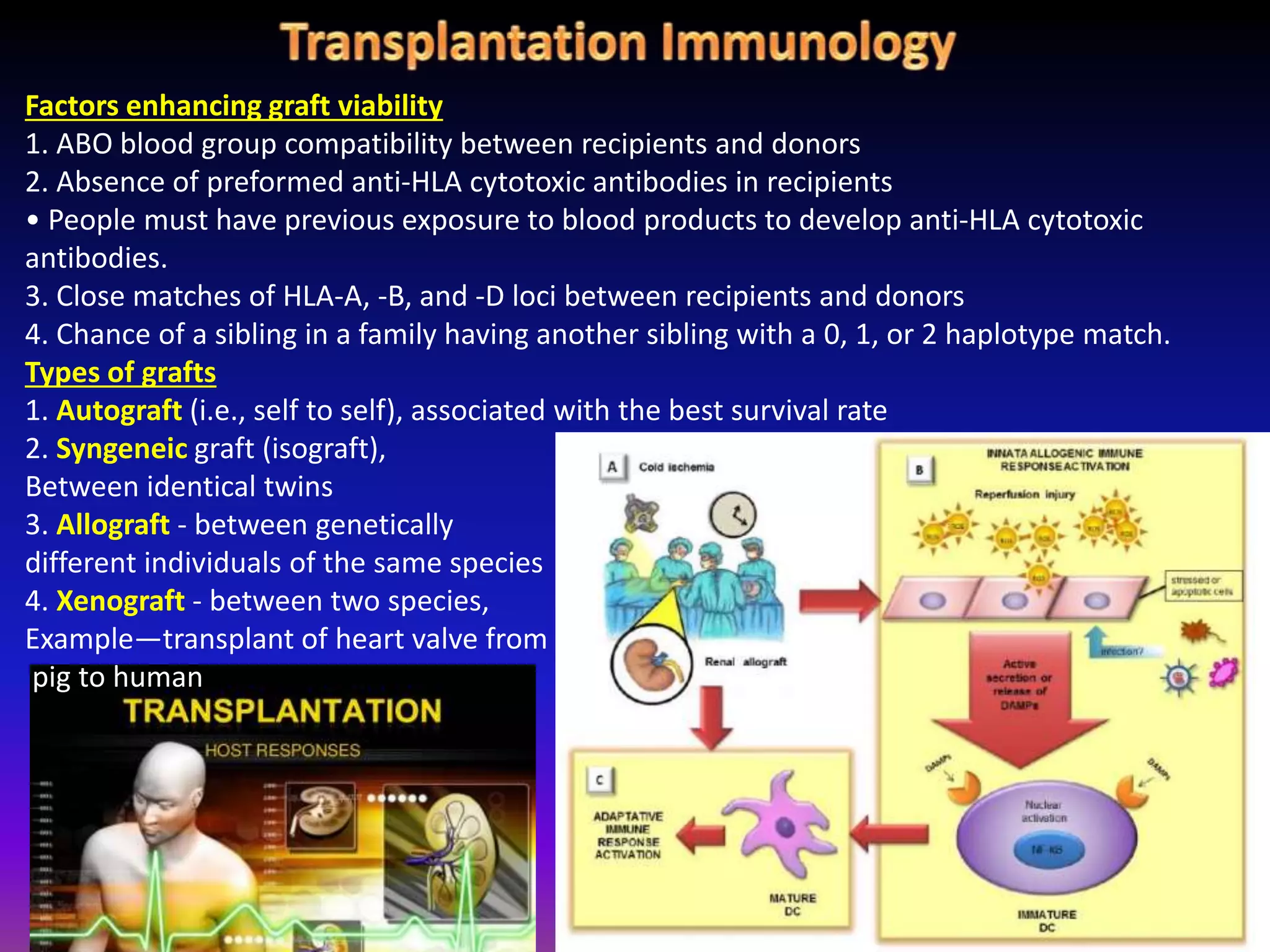 Factors enhancing graft viability
1. ABO blood group compatibility between recipients and donors
2. Absence of preformed anti-HLA cytotoxic antibodies in recipients
• People must have previous exposure to blood products to develop anti-HLA cytotoxic
antibodies.
3. Close matches of HLA-A, -B, and -D loci between recipients and donors
4. Chance of a sibling in a family having another sibling with a 0, 1, or 2 haplotype match.
Types of grafts
1. Autograft (i.e., self to self), associated with the best survival rate
2. Syngeneic graft (isograft),
Between identical twins
3. Allograft - between genetically
different individuals of the same species
4. Xenograft - between two species,
Example—transplant of heart valve from
pig to human
 