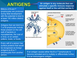 An antigen is any molecule that can
stimulate a specific immune response
against itself or the cell that carries it.Billions of B and T
lymphocytes are produced
during fetal development
with the potential to bind to
at least 100 million distinct
antigens.
Antigens that can bind to a
T or B lymphocyte include
those present on the cell
wall of bacteria or
mycoplasmas, the coat of
a virus, or on certain
pollens, dusts, or foods.
Every cell of a person has
surface proteins that would
be recognized as foreign
antigens by B or T
lymphocytes from another
person.
If an antigen causes either the B or T lymphocyte to
become activated and to multiply or differentiate further,
it is an immunogenic antigen.
 