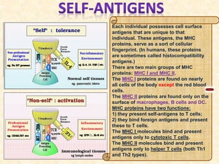 Each individual possesses cell surface
antigens that are unique to that
individual. These antigens, the MHC
proteins, serve as a sort of cellular
fingerprint. (In humans, these proteins
are sometimes called histocompatibility
antigens.)
There are two main groups of MHC
proteins: MHC I and MHC II.
The MHC I proteins are found on nearly
all cells of the body except the red blood
cells.
The MHC II proteins are found only on the
surface of macrophages, B cells and DC.
MHC proteins have two functions:
1) they present self-antigens to T cells;
2) they bind foreign antigens and present
these to T cells.
The MHC I molecules bind and present
antigens only to cytotoxic T cells.
The MHC II molecules bind and present
antigens only to helper T cells (both Th1
and Th2 types).
 