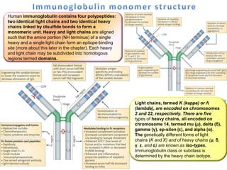 Human immunoglobulin contains four polypeptides:
two identical light chains and two identical heavy
chains linked by disulfide bonds to form a
monomeric unit. Heavy and light chains are aligned
such that the amino portion (NH terminus) of a single
heavy and a single light chain form an epitope-binding
site (more about this later in the chapter). Each heavy
and light chain may be subdivided into homologous
regions termed domains.
Light chains, termed K (kappa) or Λ
(lambda), are encoded on chromosomes
2 and 22, respectively. There are five
types of heavy chains, all encoded on
chromosome 14, termed mu (μ), delta (δ),
gamma (γ), ep-silon (ε), and alpha (α).
The genetically different forms of light
chains (K and X) and of heavy chains (μ, δ,
γ, ε, and α) are known as iso-types.
Immunoglobulin class or subclass is
determined by the heavy chain isotype.
 