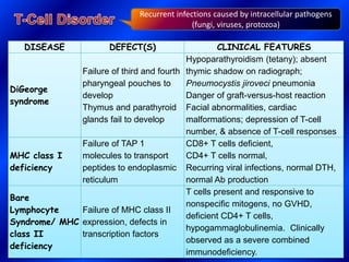DISEASE DEFECT(S) CLINICAL FEATURES
DiGeorge
syndrome
Failure of third and fourth
pharyngeal pouches to
develop
Thymus and parathyroid
glands fail to develop
Hypoparathyroidism (tetany); absent
thymic shadow on radiograph;
Pneumocystis jiroveci pneumonia
Danger of graft-versus-host reaction
Facial abnormalities, cardiac
malformations; depression of T-cell
number, & absence of T-cell responses
MHC class I
deficiency
Failure of TAP 1
molecules to transport
peptides to endoplasmic
reticulum
CD8+ T cells deficient,
CD4+ T cells normal,
Recurring viral infections, normal DTH,
normal Ab production
Bare
Lymphocyte
Syndrome/ MHC
class II
deficiency
Failure of MHC class II
expression, defects in
transcription factors
T cells present and responsive to
nonspecific mitogens, no GVHD,
deficient CD4+ T cells,
hypogammaglobulinemia. Clinically
observed as a severe combined
immunodeficiency.
Recurrent infections caused by intracellular pathogens
(fungi, viruses, protozoa)
 
