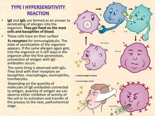 • IgE and IgG4 are formed as an answer to
penetrating of allergen into the
organism. They get fixed on the mast
cells and basophiles of blood.
• These cells have on their surface
Fc-receptors for immunoglobulin. The
state of sensitization of the organism
appears. If the same allergen again gets
into the organism or it still stays in the
organism after the first penetration,
connection of antigen with IgE-
antibodies occurs.
The same thing is observed with IgG4.
They bind with their receptors on
basophiles, macrophages, eosinophiles,
trombocytes.
Depending on the quantity of
molecules of IgE-antibodies connected
to antigen, quantity of antigen we can
observe either inhibition of activity of
the cell or its activation and transfer of
the process to the next, pathochemical
stage.
1. Initial antigen contact
 