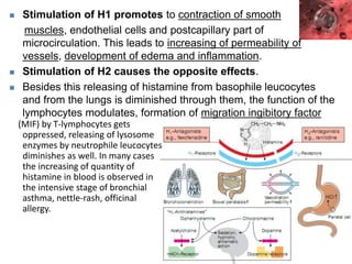  Stimulation of H1 promotes to contraction of smooth
muscles, endothelial cells and postcapillary part of
microcirculation. This leads to increasing of permeability of
vessels, development of edema and inflammation.
 Stimulation of H2 causes the opposite effects.
 Besides this releasing of histamine from basophile leucocytes
and from the lungs is diminished through them, the function of the
lymphocytes modulates, formation of migration ingibitory factor
(MIF) by T-lymphocytes gets
oppressed, releasing of lysosome
enzymes by neutrophile leucocytes
diminishes as well. In many cases
the increasing of quantity of
histamine in blood is observed in
the intensive stage of bronchial
asthma, nettle-rash, officinal
allergy.
 