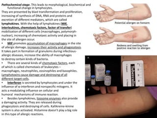 Pathochemical stage. This leads to morphological, biochemical and
functional change in lymphocytes.
They are presented by blast transformation and proliferation,
increasing of synthesis of DNA, RNA and proteins and
excretion of different mediators, which are called
lymphokines. With the help of lymphokines (MIF,
interleukines, chemotaxic factors, factor of transfer)
mobilization of different cells (macrophages, polymorph-
nuclear), increasing of chemotaxic activity and placing in
the site of allergen occur.
• MIF promotes accumulation of macrophages in the site
of allergic damage, increases their activity and phagocytosis.
It takes part in formation of granulems during infectious-
allergic diseases, increase the ability of macrophages
to destroy certain kinds of bacteria.
• There are several kinds of chemotaxic factors, each
of which is called chemotaxis of leukocytes –
macrophages, neutrophiles, eosinophiles and basophiles.
Lymphotoxins cause damage and destroying of all
different target-cells.
• Interferon is secreted by lymphocytes and under the
influence of α-interferon and nonspecific mitogens. It
acts a modulating influence on cellular and
humoral mechanisms of immune reaction.
• Besides lymphokines, lizosome enzymes also provide
a damaging activity. They are released during
phagocytosis and destroying of cells. Kallikreine-kinine
system is also activated. Histamine doesn’t play a big role
in this type of allergic reactions.
 