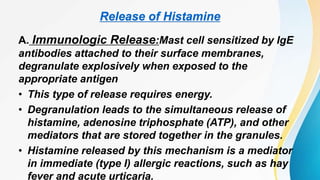 Release of Histamine
A. Immunologic Release:Mast cell sensitized by IgE
antibodies attached to their surface membranes,
degranulate explosively when exposed to the
appropriate antigen
• This type of release requires energy.
• Degranulation leads to the simultaneous release of
histamine, adenosine triphosphate (ATP), and other
mediators that are stored together in the granules.
• Histamine released by this mechanism is a mediator
in immediate (type I) allergic reactions, such as hay
fever and acute urticaria.
 