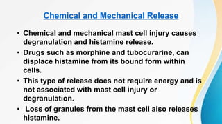 Chemical and Mechanical Release
• Chemical and mechanical mast cell injury causes
degranulation and histamine release.
• Drugs such as morphine and tubocurarine, can
displace histamine from its bound form within
cells.
• This type of release does not require energy and is
not associated with mast cell injury or
degranulation.
• Loss of granules from the mast cell also releases
histamine.
 