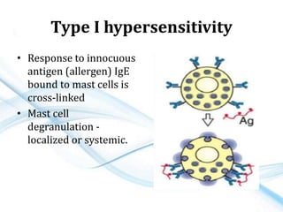 Type I hypersensitivity
• Response to innocuous
antigen (allergen) IgE
bound to mast cells is
cross-linked
• Mast cell
degranulation -
localized or systemic.
 